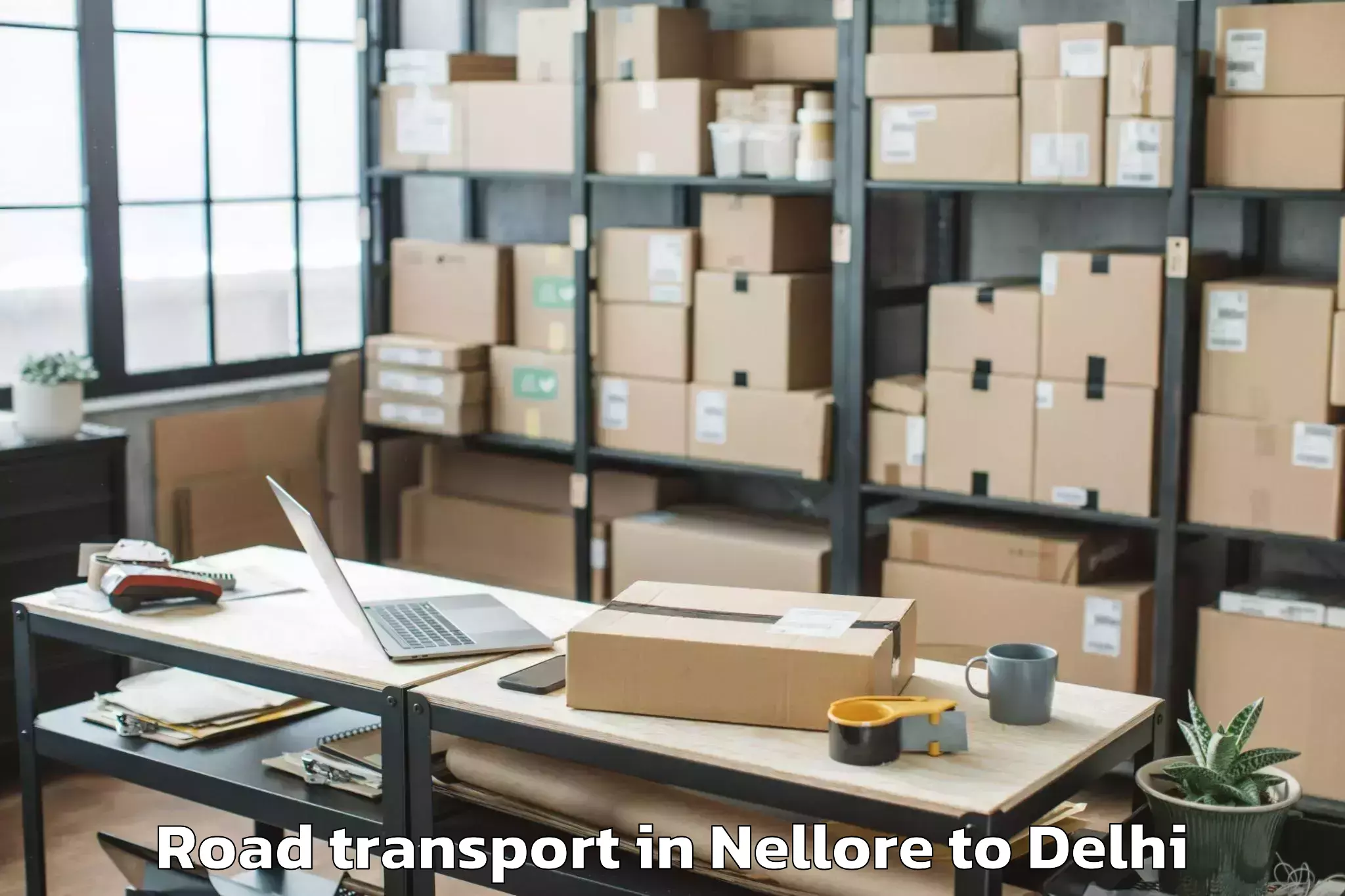 Expert Nellore to Delhi Technological University Road Transport